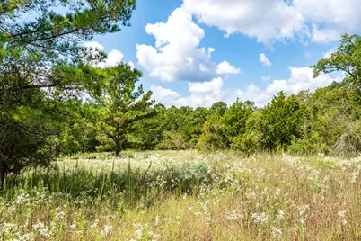 701 Camilla Lake Road, Coldspring, TX 77331 - Photo 15
