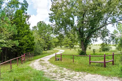 701 Camilla Lake Road, Coldspring, TX 77331 - Photo 7