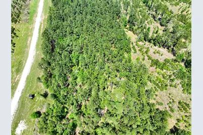 1 Lost Creek Road, Lovelady, TX 75851 - Photo 13