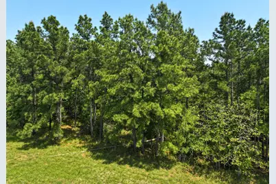 1 Lost Creek Road, Lovelady, TX 75851 - Photo 5