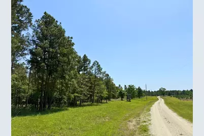 1 Lost Creek Road, Lovelady, TX 75851 - Photo 17