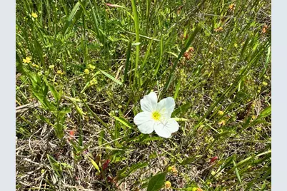 1 Lost Creek Road, Lovelady, TX 75851 - Photo 19