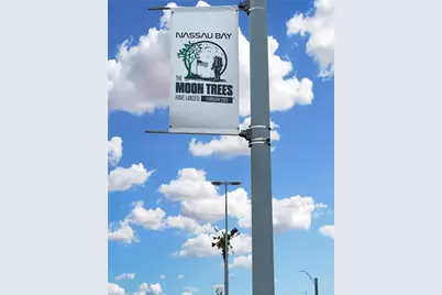 1880 Saxony Lane, Houston, TX 77058 - Photo 35