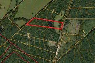 850 Slade St, Coldspring, TX 77331 - Photo 31