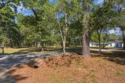 16402 Surrey Lane, Stagecoach, TX 77355 - Photo 3