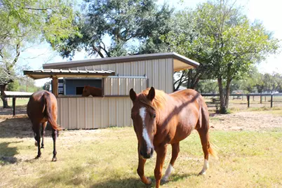 33 Riverwood Lane, Hempstead, TX 77445 - Photo 7