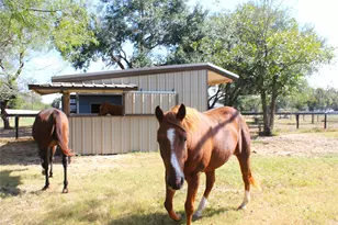 33 Riverwood Ln, Hempstead, TX 77445 - Photo 7