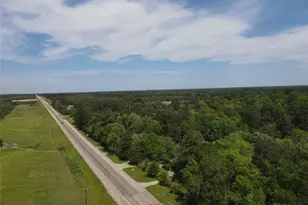 Tbd 2 Tx-146, Livingston, TX 77351 - Photo 1