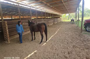 4915 W Fm 1462, Rosharon, TX 77583 - Photo 7