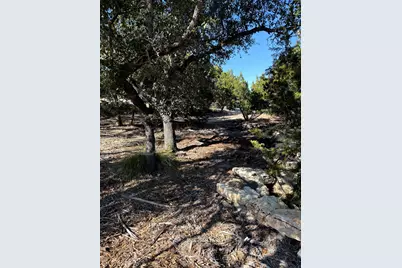 1392 Johnson Road, Canyon Lake, TX 78133 - Photo 11