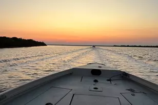 1522 County Rd 441A, Brazoria, TX 77422 - Photo 17