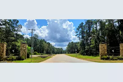 231 Iron Horse Road, Willis, TX 77378 - Photo 11