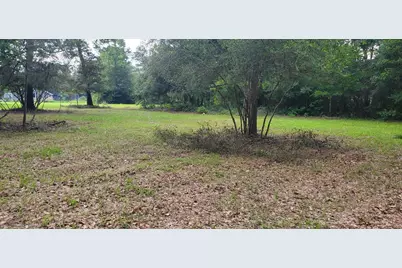 16868 Fm 1484 Road, Conroe, TX 77303 - Photo 5