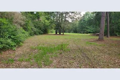 16868 Fm 1484 Road, Conroe, TX 77303 - Photo 7