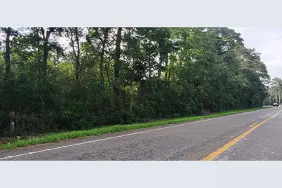 16868 Fm 1484 Road, Conroe, TX 77303 - Photo 3