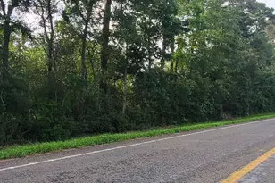 16868 FM 1484 Rd, Conroe, TX 77303 - Photo 3