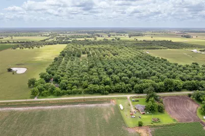 2640 County Road 107, Boling, TX 77420 - Photo 5