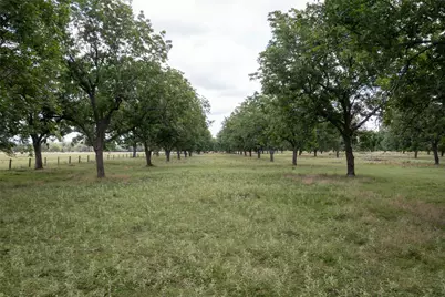 2640 County Road 107, Boling, TX 77420 - Photo 19