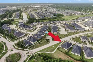 10102 Seaside Alder Dr, Conroe, TX 77385 - Photo 3