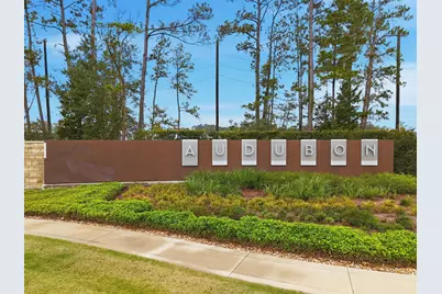 15102 Bank Swallow Place, Magnolia, TX 77354 - Photo 27