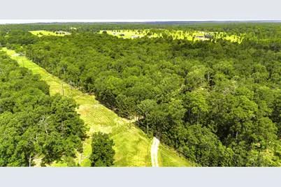 387 Hackberry Dr, Onalaska, TX 77360 - Photo 3