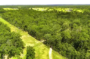 387 Hackberry Dr, Onalaska, TX 77360 - Photo 3