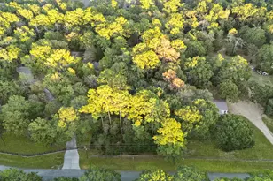 7349 Washington Ave, Montgomery, TX 77316 - Photo 5