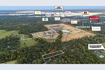 7349 Washington Avenue, Montgomery, TX 77316 - Photo 13