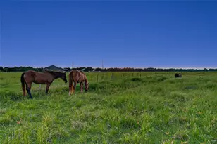 10550 Brinkmeyer Rd, Needville, TX 77461 - Photo 33