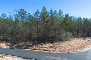 4521 Marfa Ct, Montgomery, TX 77316 - Photo 1
