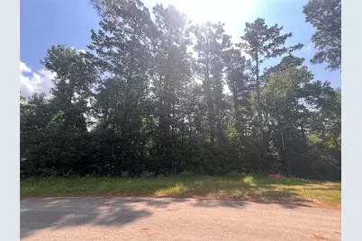 15218 Milton Whatley, Montgomery, TX 77316 - Photo 3