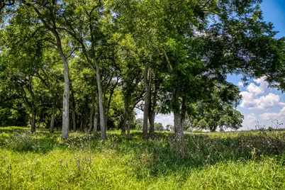 00 Egypt Lane, Washington, TX 77880 - Photo 3