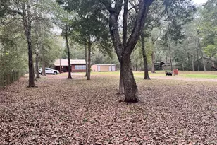 25881 Pine Oak Dr, Hockley, TX 77447 - Photo 13