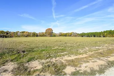111 Buckhorn Creek Drive, Crockett, TX 75835 - Photo 3