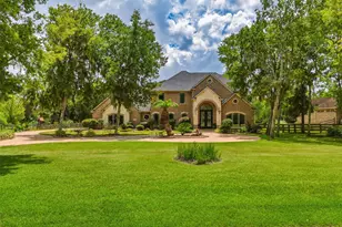 3406 Wellspring Lake Dr, Fulshear, TX 77441 - Photo 3