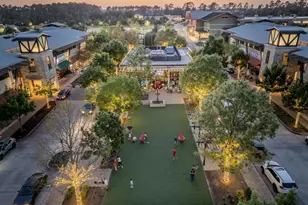 31 S Victoriana Cir, Spring, TX 77389 - Photo 39