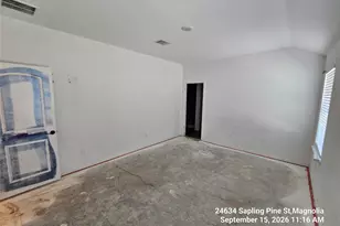 24634 Sapling Pne St, Magnolia, TX 77355 - Photo 9
