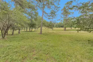 10186 Calvary Rd, Willis, TX 77318 - Photo 39