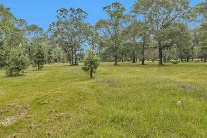 10186 Calvary Road, Willis, TX 77318 - Photo 41