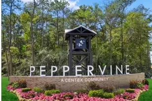 21460 Austell Pond Dr, Porter, TX 77365 - Photo 19