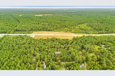 000 County Road 201 Loop, Plantersville, TX 77363 - Photo 3