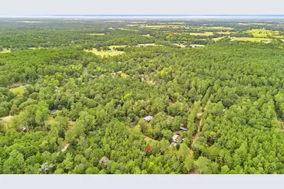 000 County Road 201 Loop, Plantersville, TX 77363 - Photo 11