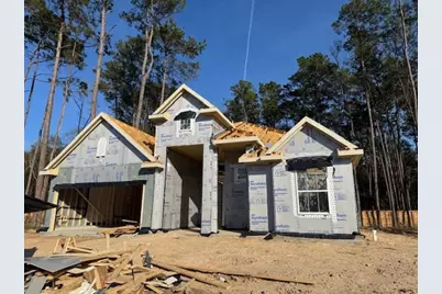 22611 Big Stump Drive, Porter, TX 77365 - Photo 17