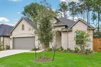 22611 Big Stump Drive, Porter, TX 77365 - Photo 3
