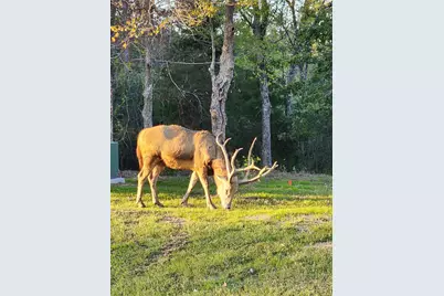 0 Eland Trail, LaRue, TX 75770 - Photo 37