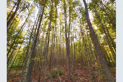 0 Eland Trail, LaRue, TX 75770 - Photo 39