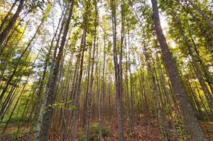 0 Eland Trail, LaRue, TX 75770 - Photo 39