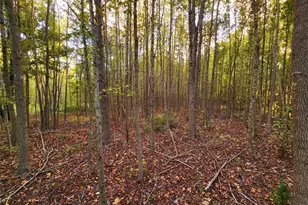 0 Eland Trail, LaRue, TX 75770 - Photo 15