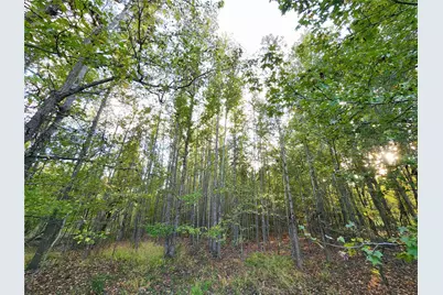 0 Eland Trail, LaRue, TX 75770 - Photo 9