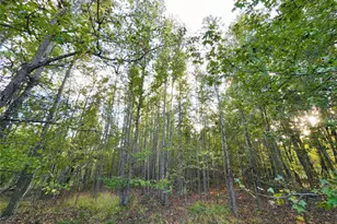 0 Eland Trail, LaRue, TX 75770 - Photo 9